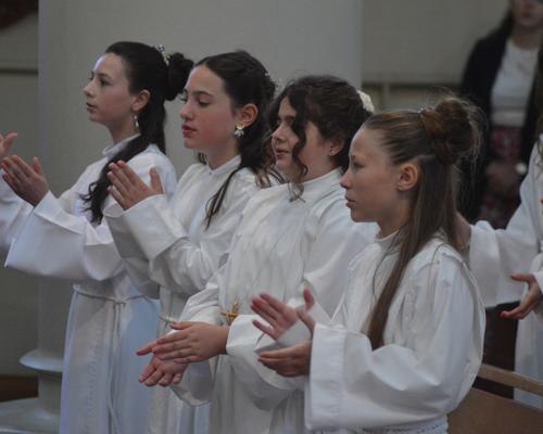 DSC_3305 - Copie