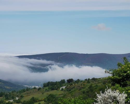 IMG-20250616-WA0013