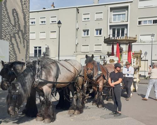 Sainte Aldegonde 2025 (6)