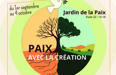 Image Actualité