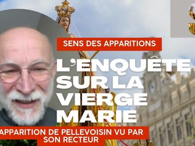 PELLEVOISIN