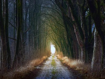 preparez le chemin-  Joe de Pixabay