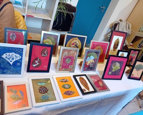 595150513_871797002036444_914046211774924760_n