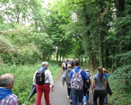 Foret  de Bonsecours