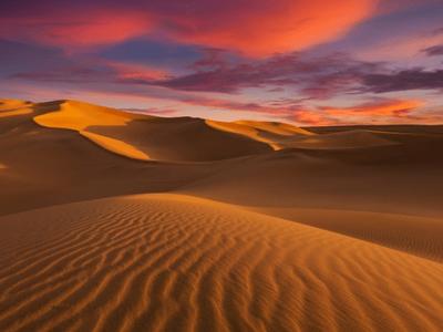 WhatsApp Image 2026-03-12 at 10.08.42