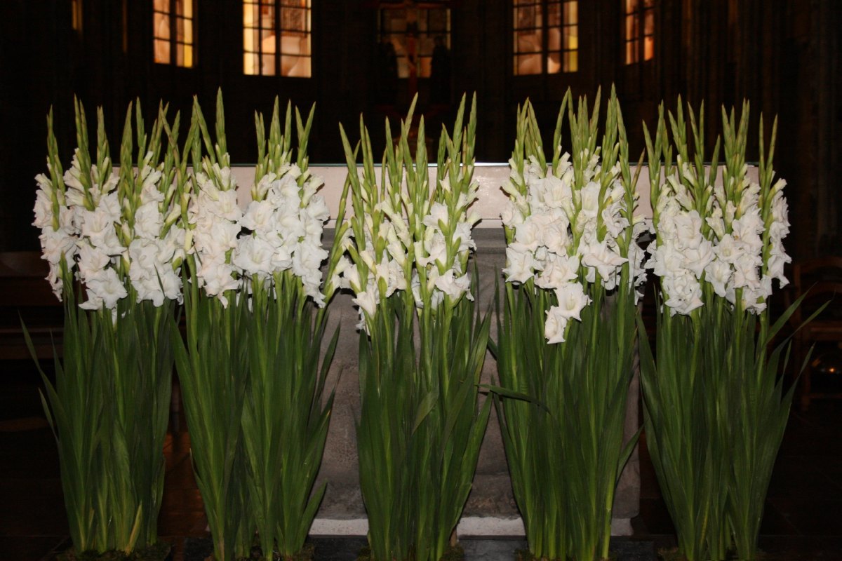 Décoration florale par Anne-Marie TICHKIEWITCH et MARYLISE