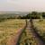 chemin freepik
