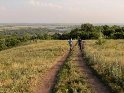 chemin freepik