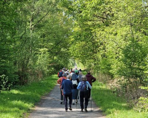 marche eglise verte 2026 (3)