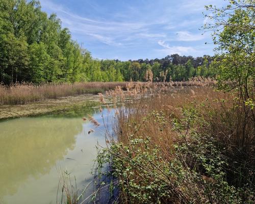 marche eglise verte 2026 (6)