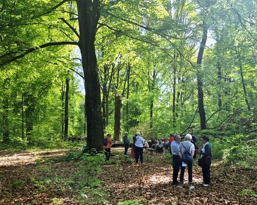 marche eglise verte 2026 (14)