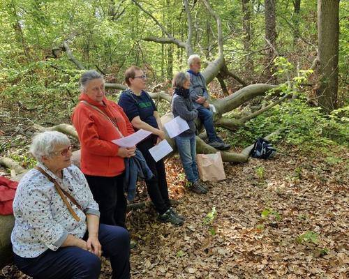 marche eglise verte 2026 (17)
