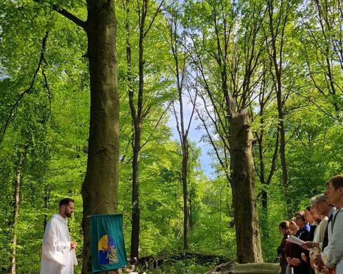 marche eglise verte 2026 (20)