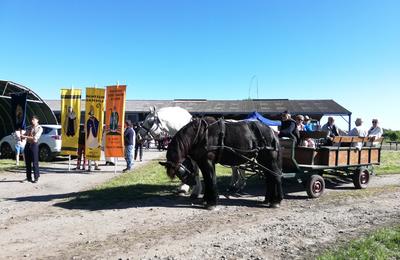 IMG_20260501_095452