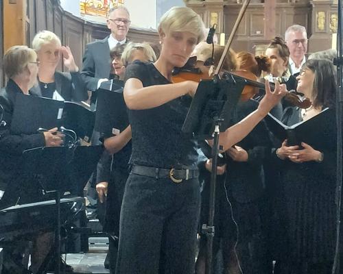 les cigales violon