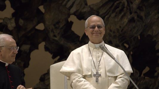 Pope_Leo_XIV_7