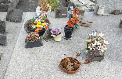 Image Actualité