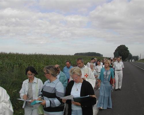Photo 041