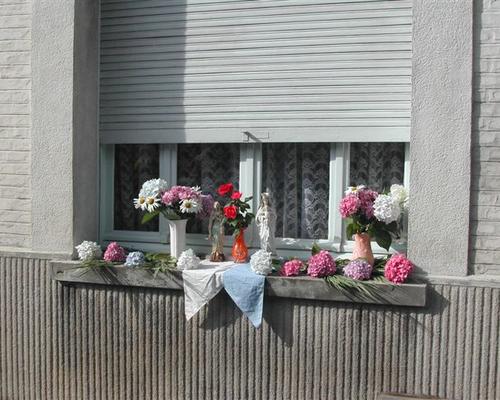 Photo 043