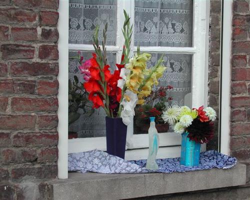 Photo 046