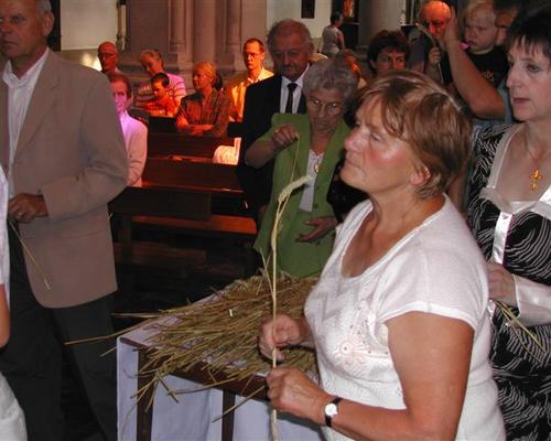 Photo 061