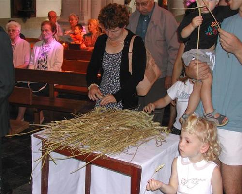 Photo 062