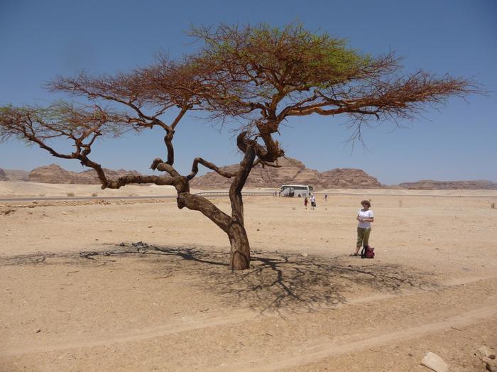 2009 07 - Sinai-Terre Sainte 213