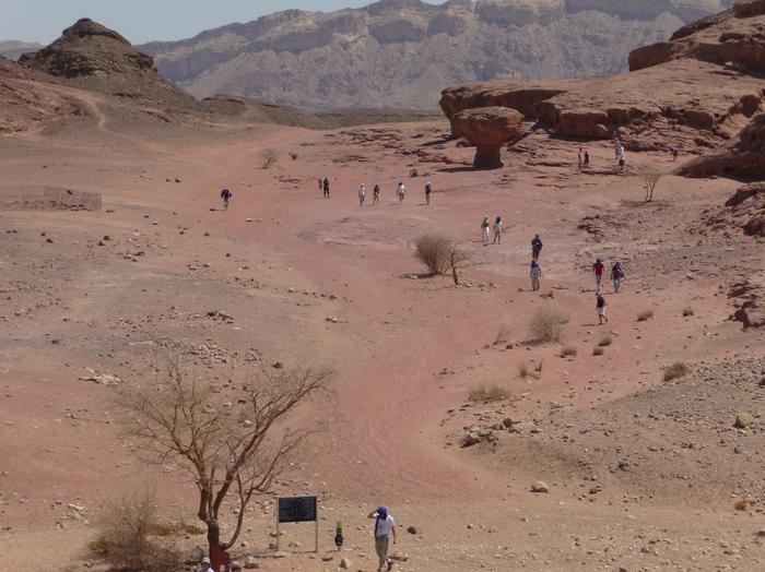 2009 07 - Sinai-Terre Sainte 254