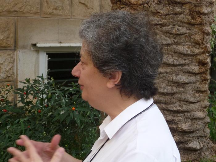 2009 07 - Sinai-Terre Sainte 300