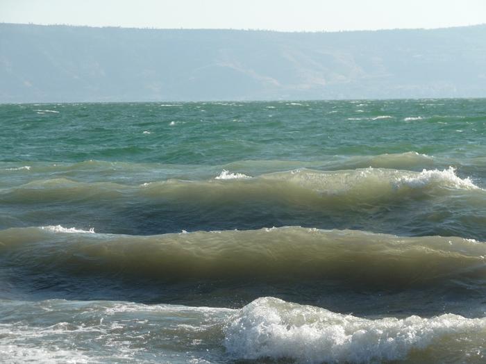 2009 07 - Sinai-Terre Sainte 360