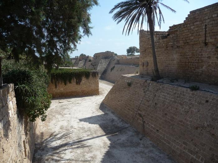 2009 07 - Sinai-Terre Sainte 497