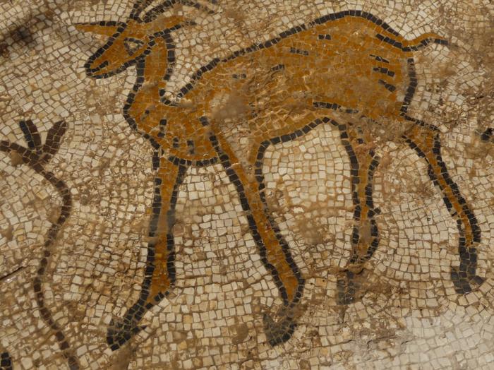 2009 07 - Sinai-Terre Sainte 501