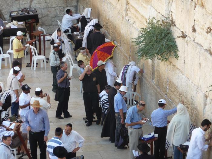 2009 07 - Sinai-Terre Sainte 559