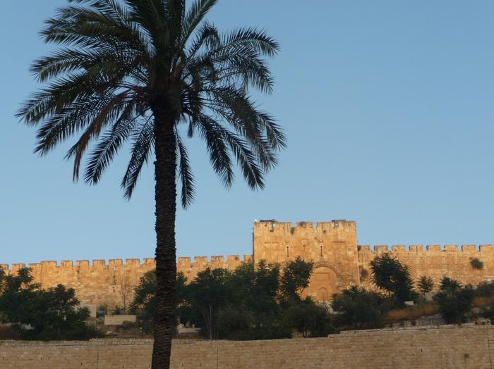 2009 07 - Sinai-Terre Sainte 575