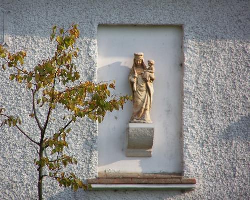 Photo 233