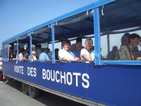Bouchots-Imgp5793