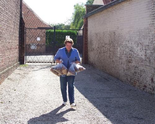 Photo 034