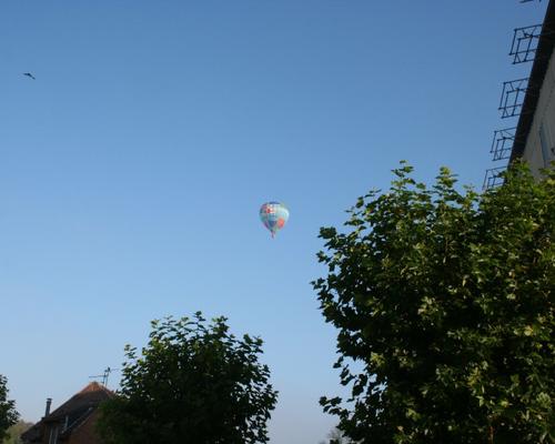 IMG_5874