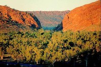 alice-springs