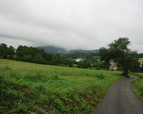 IMG_4462