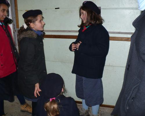 Discution dans la jungle