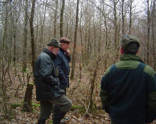 Forêt de Mormal