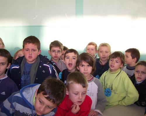 Photo 015