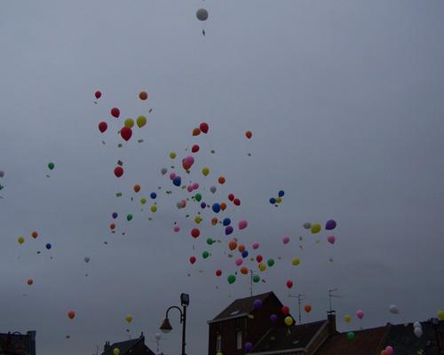 Photo 002