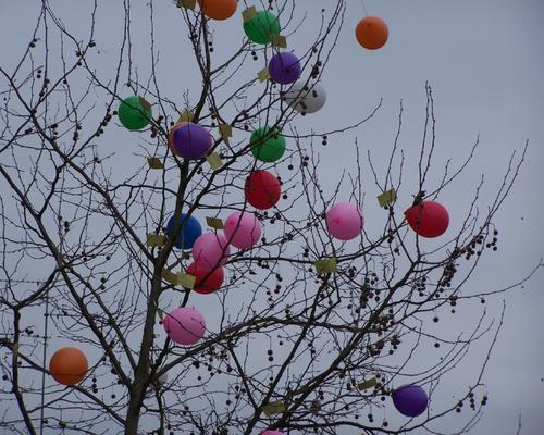 Photo 010