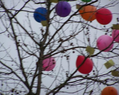 Photo 015