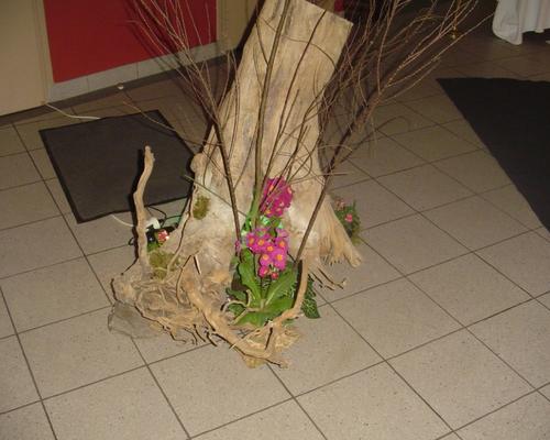 DSC01006