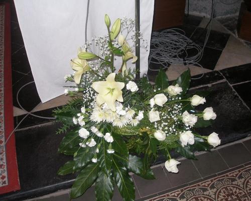 P1010020