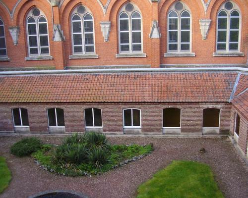 la cour