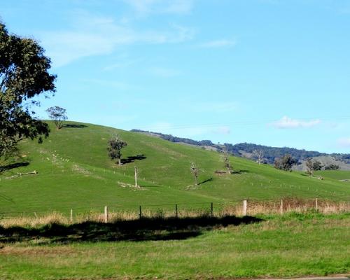 Premiers paysages australiens (vus du bus)